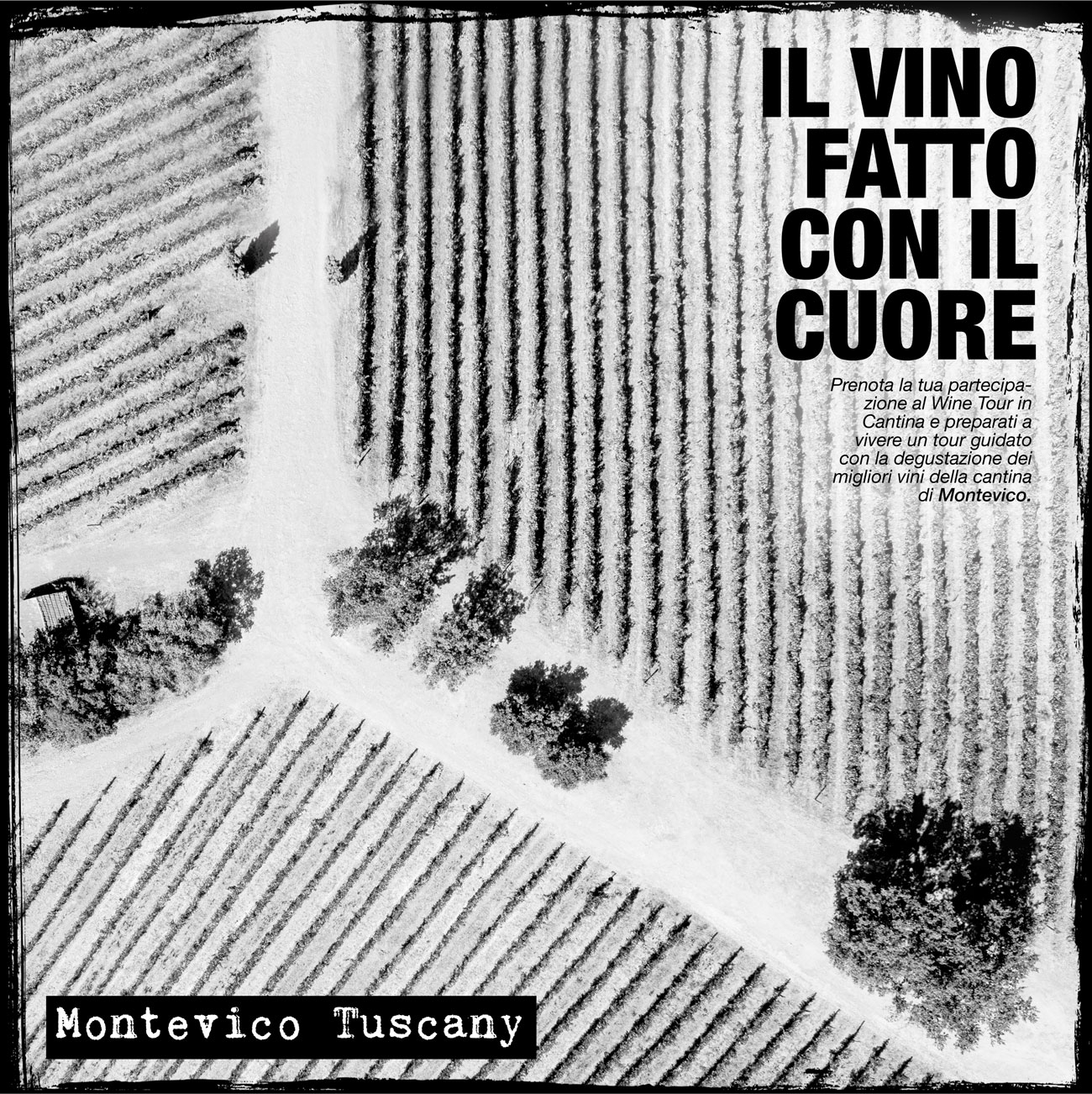 Montevico Winery Werbung - Drone aufnahme in der Toscana, Werbung Foto shooting von Valerio Agolino Fotograf in München