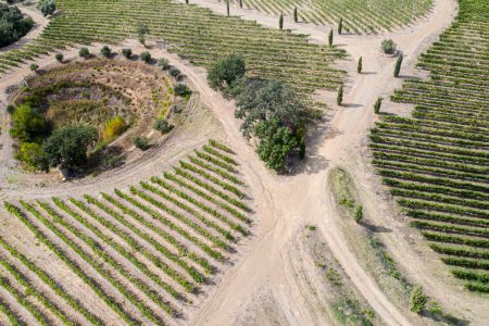 DJI_0077