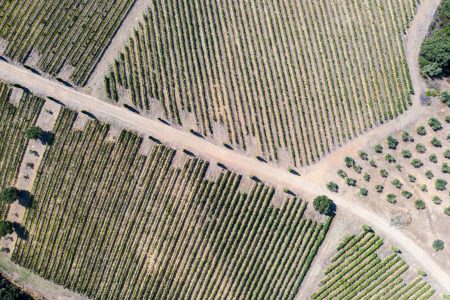 DJI_0144