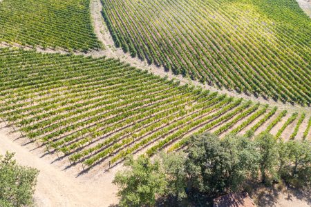 DJI_0146